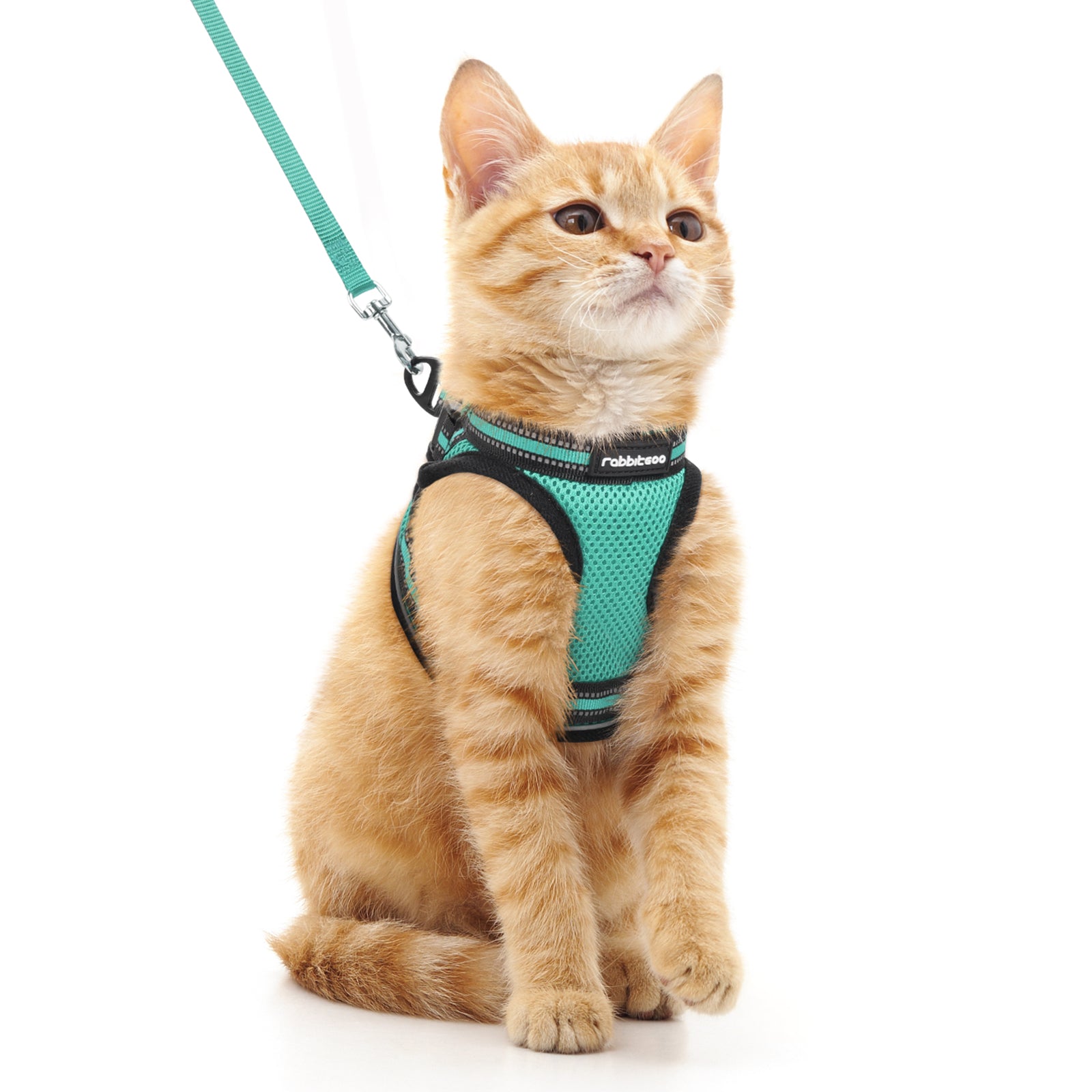 Rabbitgoo Escape Proof Cat Harness and Leash Set, with Reflective Strip - Green