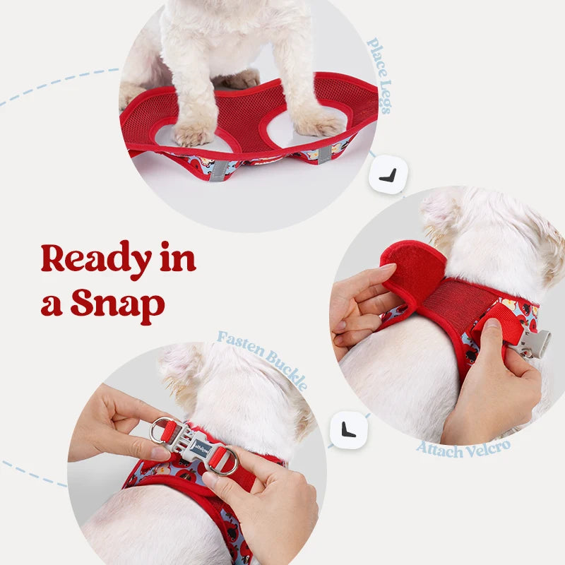 Minifit Small Dog Harness and Leash Set - Apple Pups