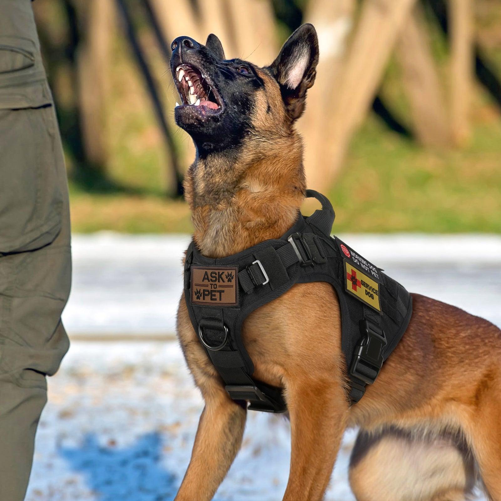 PAWTRENDER Tactical Dog Harness for Large Dogs - Black 