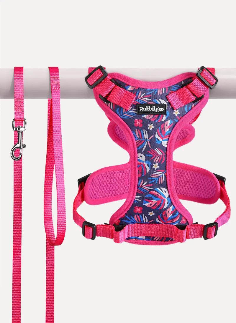 Rabbitgoo Kaleido Adjustable cat harness and leash set - Tropic Fuchsia