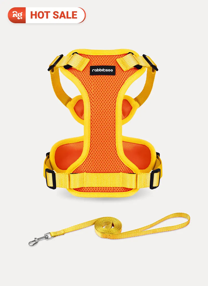 Rabbitgoo Fusion Adjustable cat harness and leash set - Orange & Yellow 