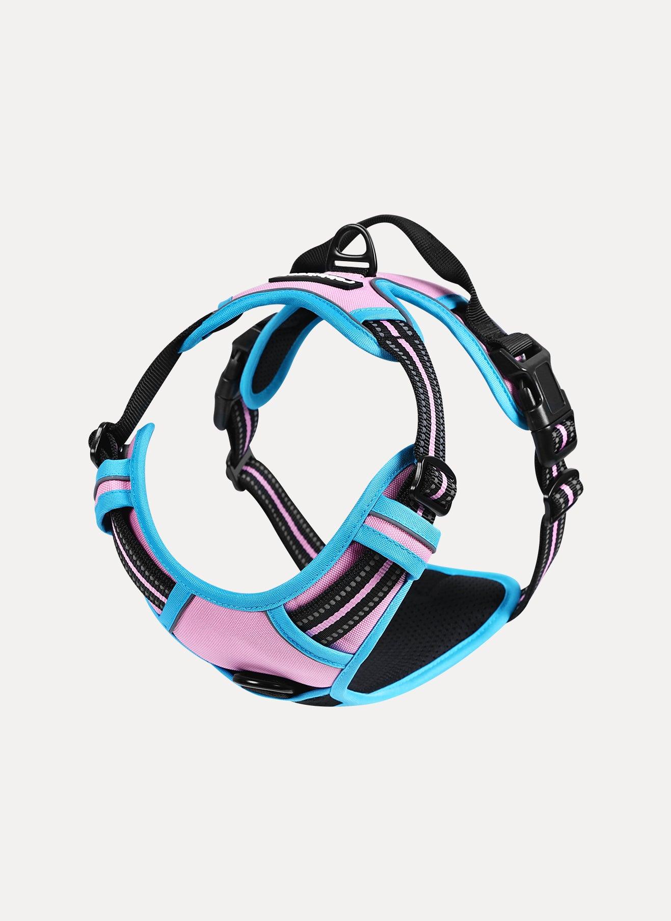 Rabbitgoo Multicolored No Pull Dog Harness - Pink & Blue / XS