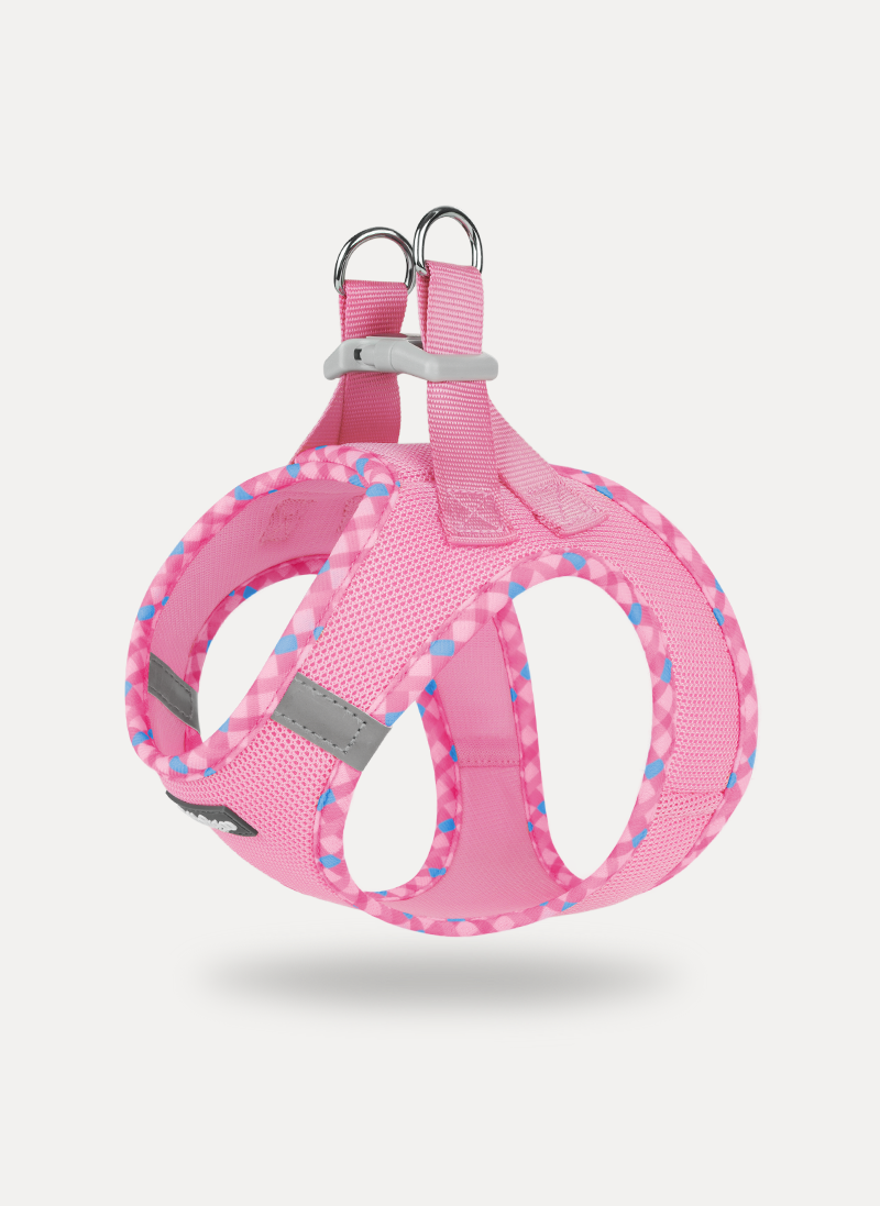 Minifit Small Dog Harness and Leash Set - Pink & Plaid Trim