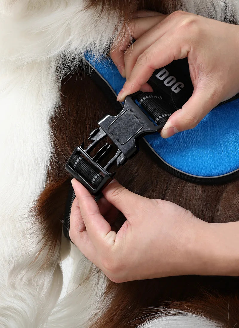 Easy Walk Dog Harness with One Easy-Fit Buckle - Blue