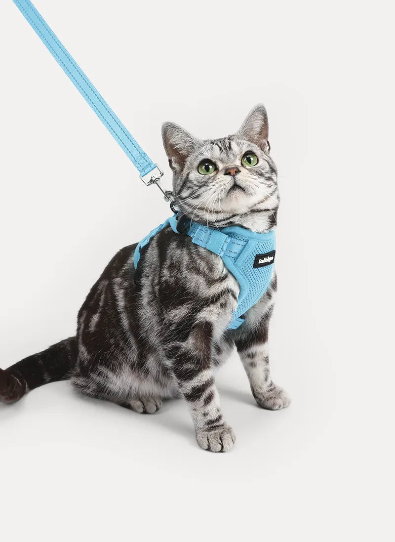 Rabbitgoo SnugFit 3-Point Cat Harness and Leash Set - Blue