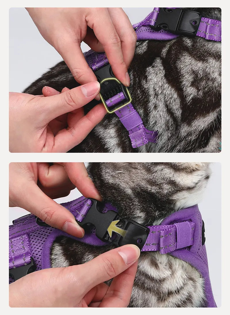 Rabbitgoo SnugFit 3-Point Cat Harness and Leash Set - Purple