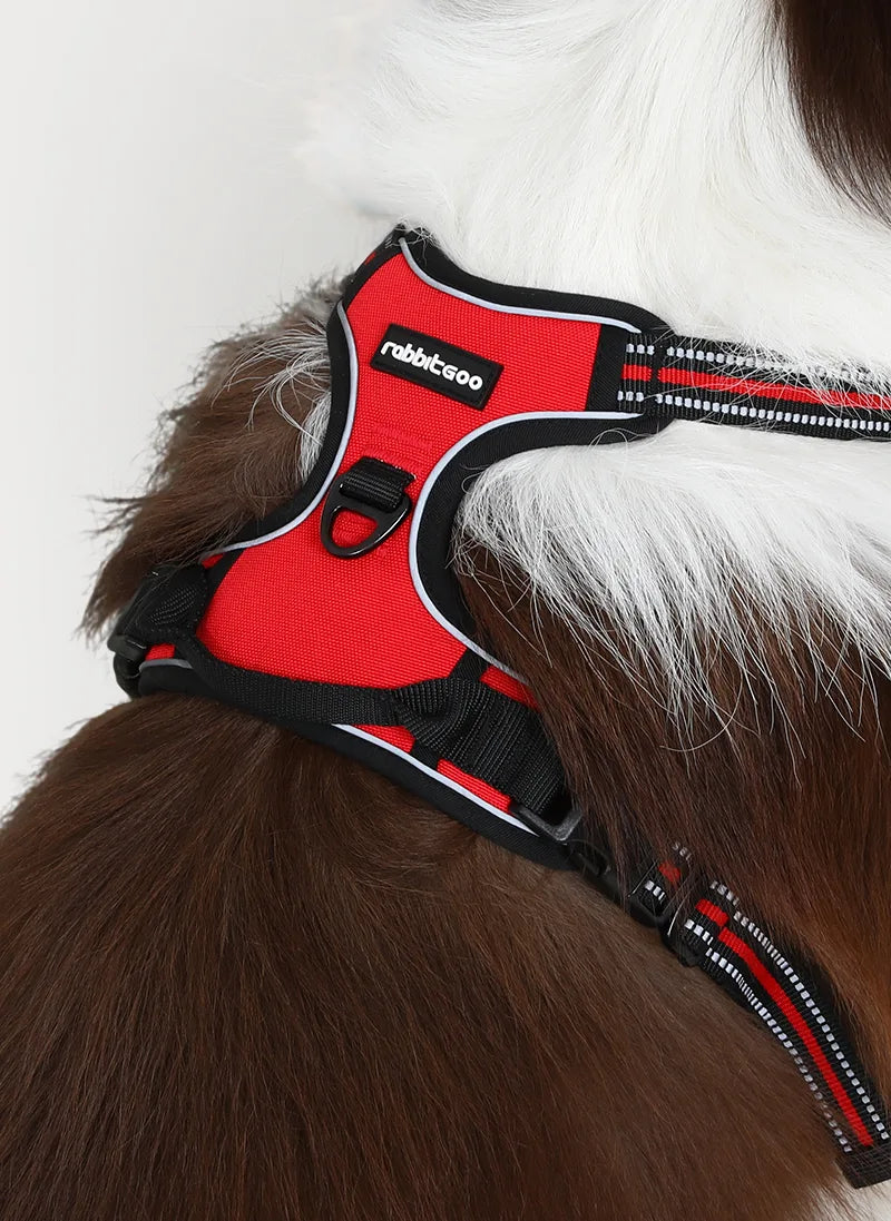 Classic Fit No Pull Dog Harness - Red