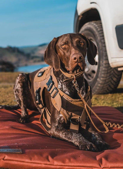 Tactical Dog Harness Vest with Handle - Tan 
