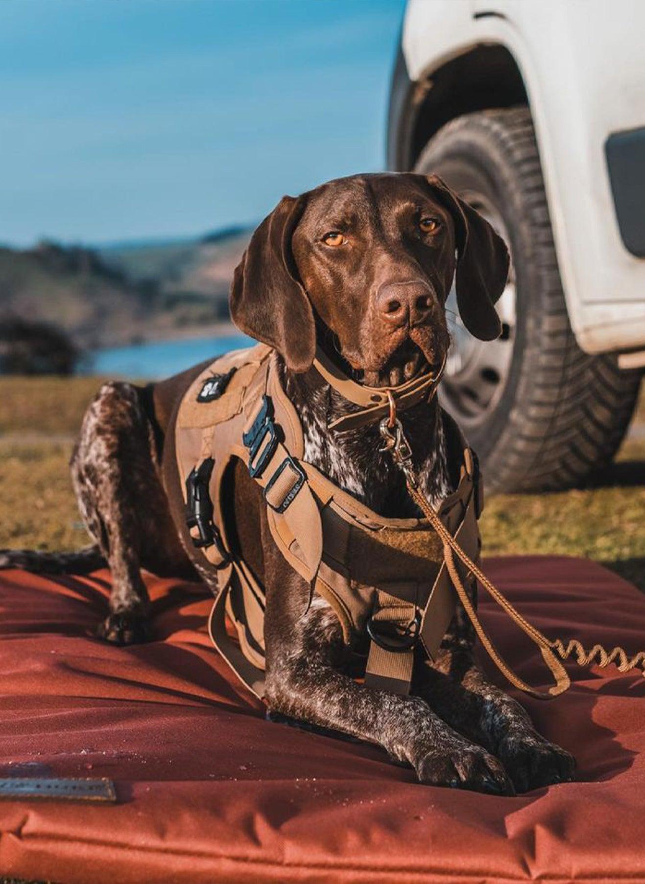 Tactical Dog Harness Vest with Handle - Tan 