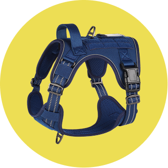 dog harness