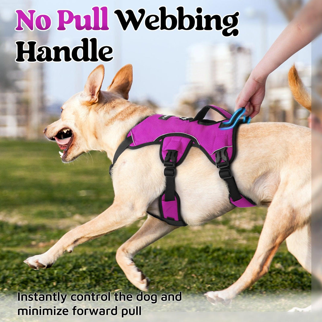 Rabbitgoo Large Dog Harness with Handle - Purple