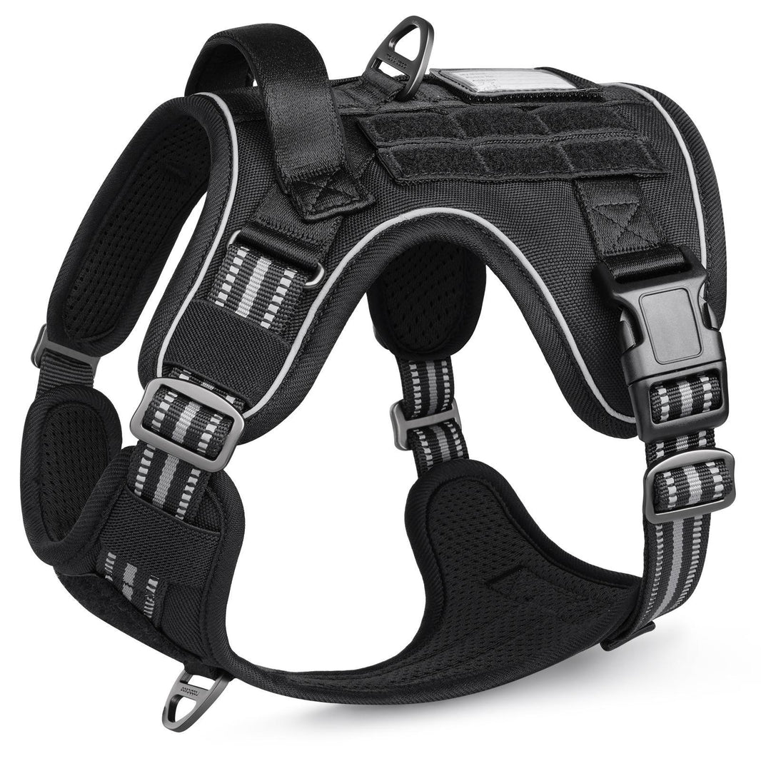 Types of Dog Harnesses & How to Put Them On Rabbitgoo