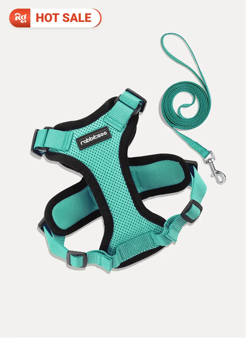 Rabbitgoo Classic Adjustable Cat Harness and Leash Set - Emerald