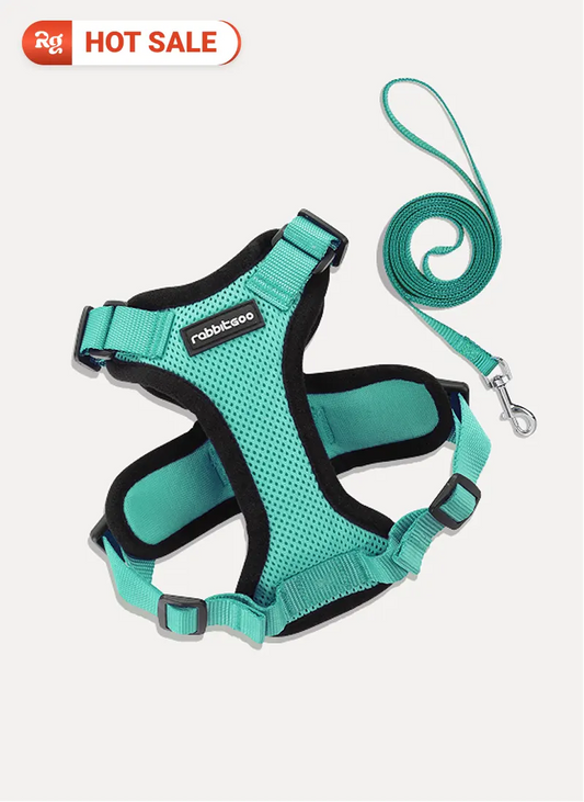 Rabbitgoo Classic Adjustable Cat Harness and Leash Set - Emerald
