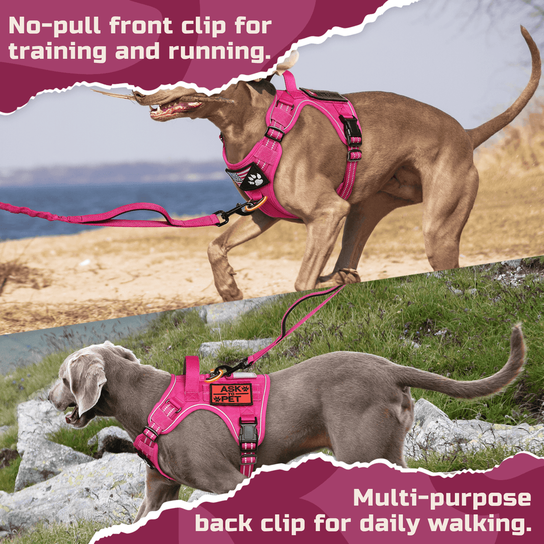 ColorPop Escape Proof Tactical Dog Harness - Rose Red 