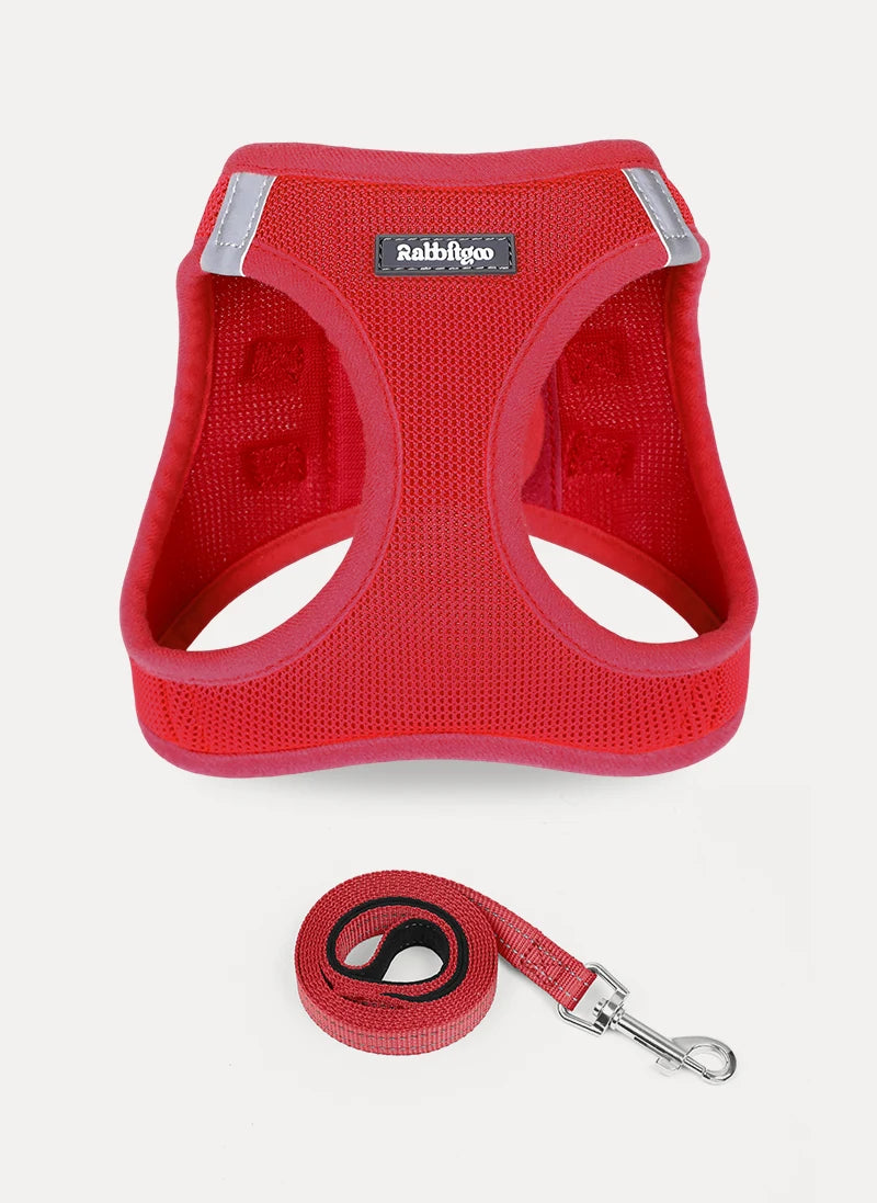 Minifit Small Dog Harness and Leash Set - Red