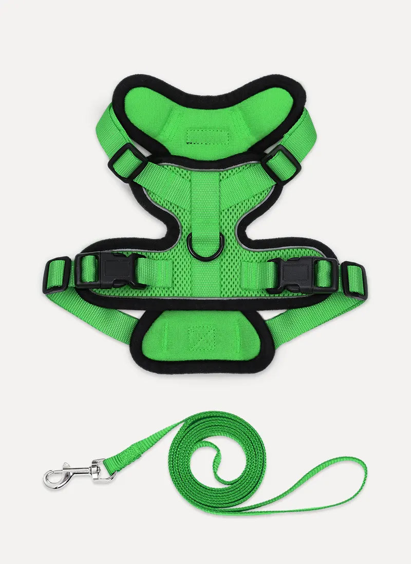 Rabbitgoo Classic Adjustable Cat Harness and Leash Set - Grass Green