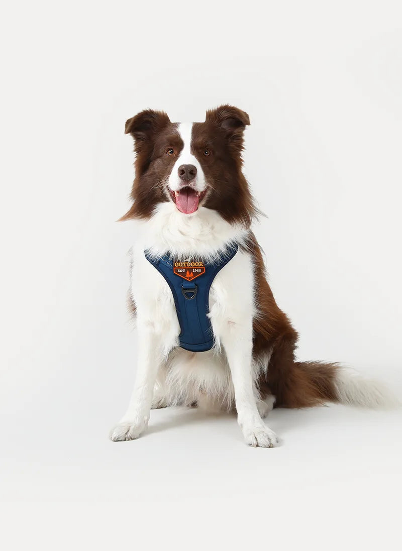 Solid Escape Proof Tactical Dog Vest Harness