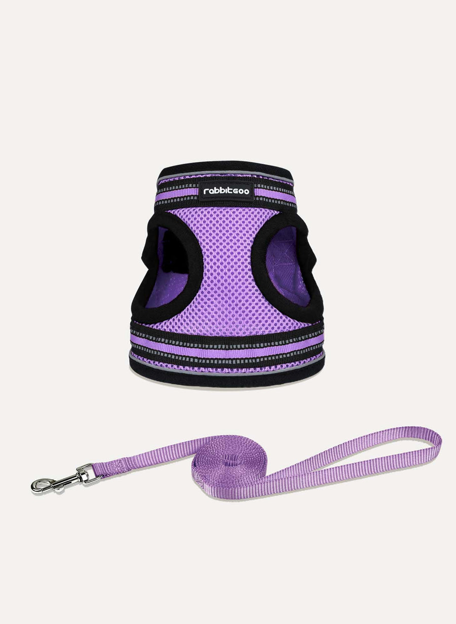 Rabbitgoo Escape Proof Cat Harness and Leash Set - Light Purple