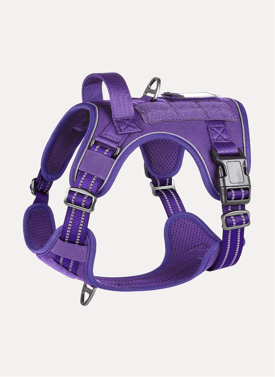 ColorPop Escape Proof Tactical Dog Harness - Purple