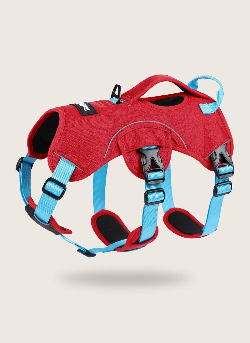 Lift Assist Escape Proof Dog Harness