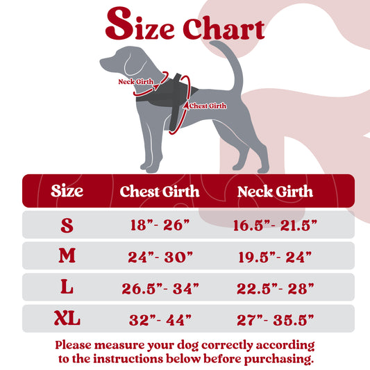 Easy Walk Dog Harness with One Buckle Size chart