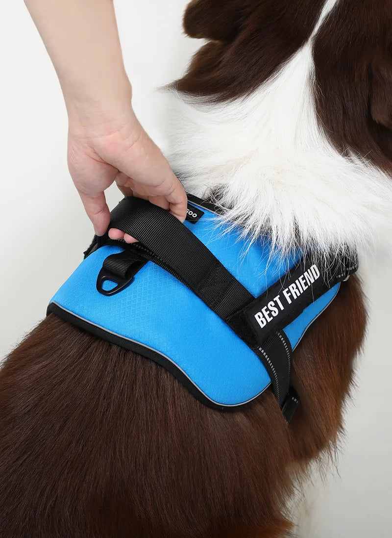 Easy Walk Dog Harness with One Easy-Fit Buckle - Blue