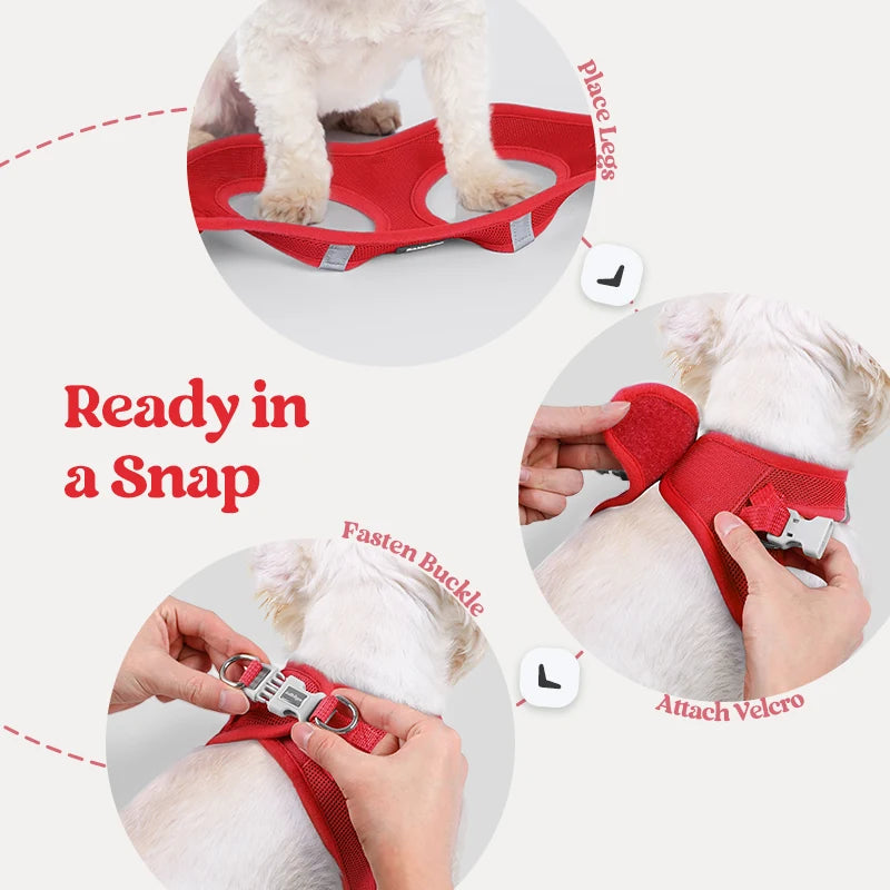 Minifit Small Dog Harness and Leash Set - Red