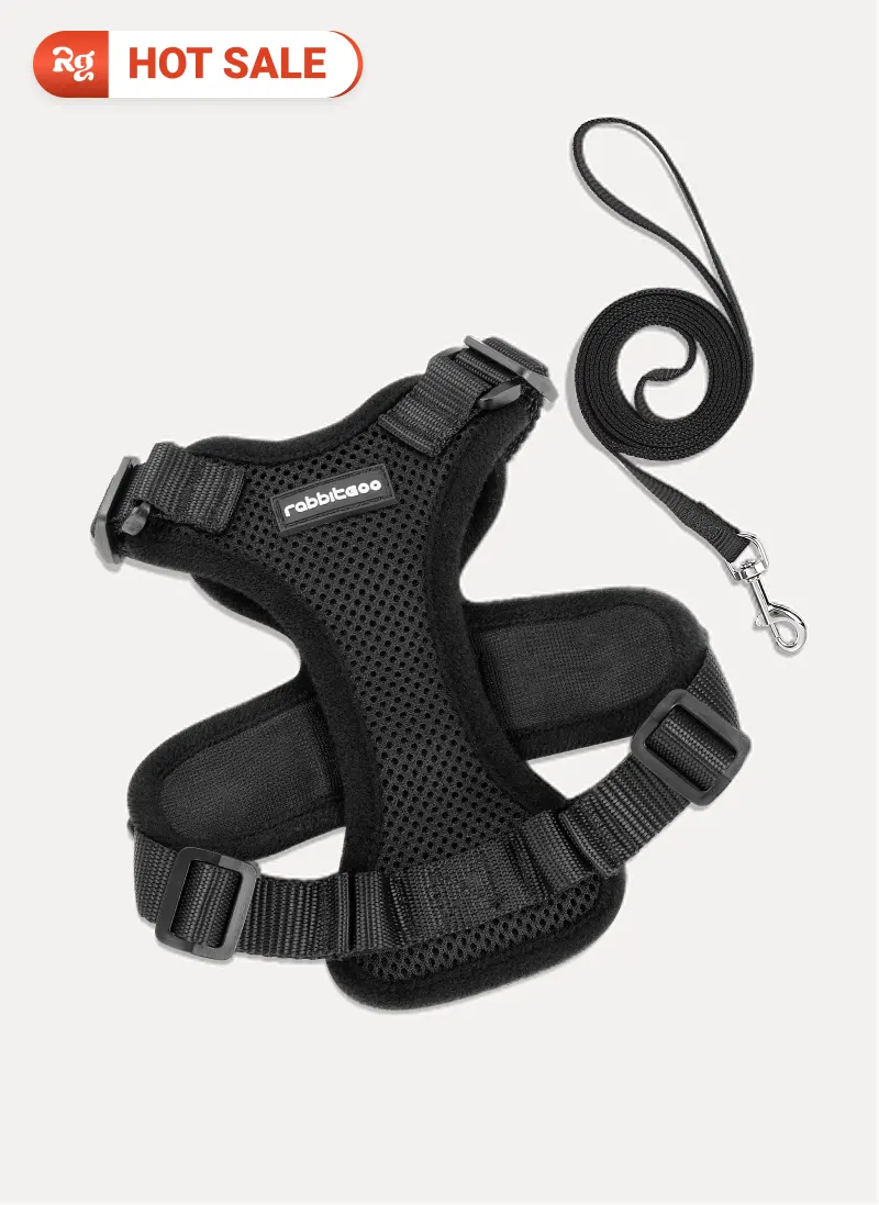 Rabbitgoo Classic Adjustable Cat Harness and Leash Set - Black