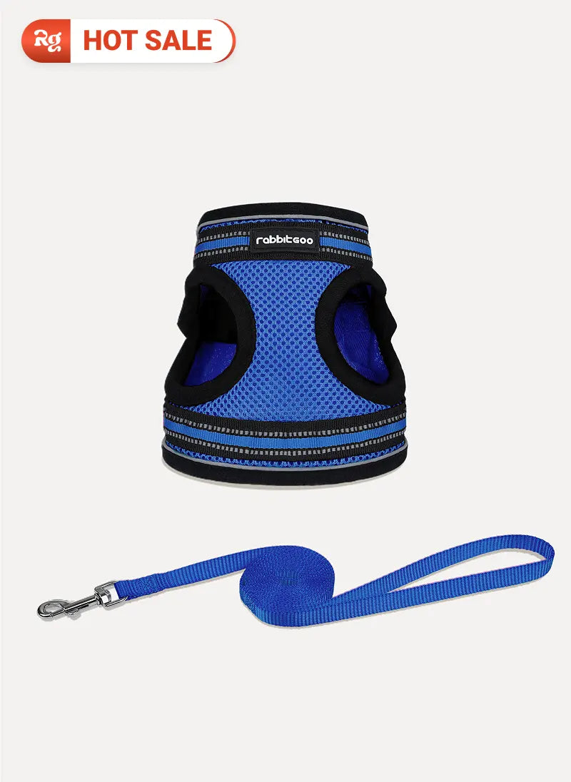 Rabbitgoo Escape Proof Cat Harness and Leash Set - Blue