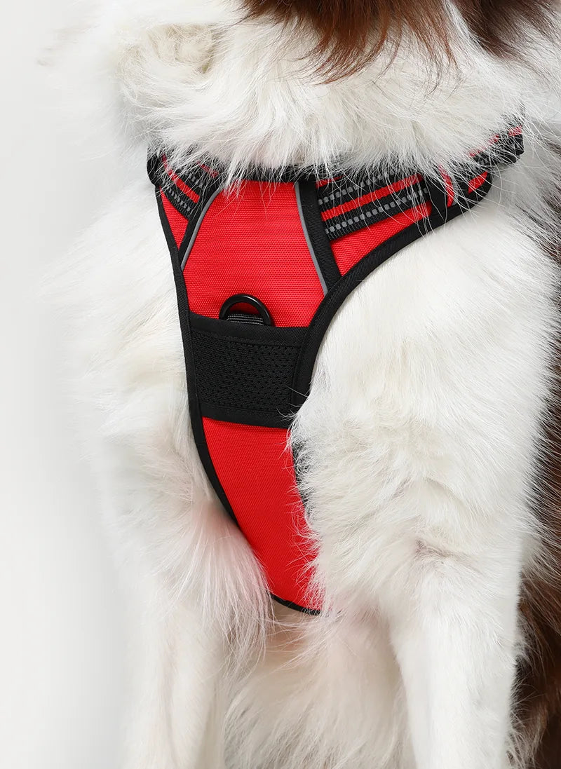 Classic Fit No Pull Dog Harness - Red