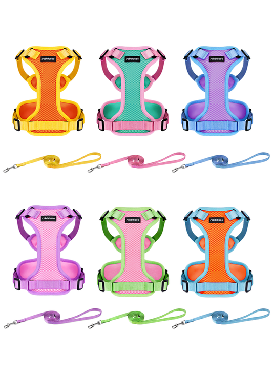 RG Box for Multi-Pet Households