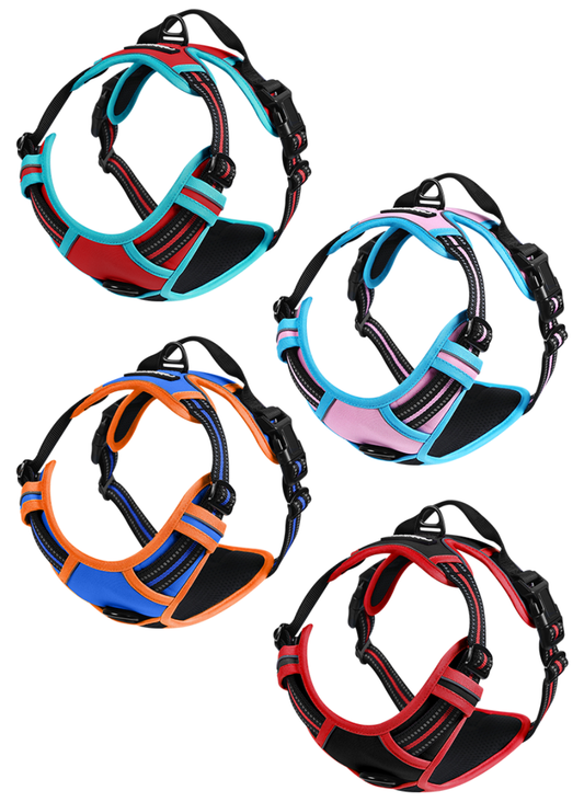 $3.8 Flash Sale: ColorPop Fit No Pull Dog Harness
