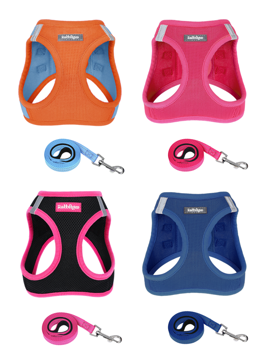 RG Box for Multi-Pet Households