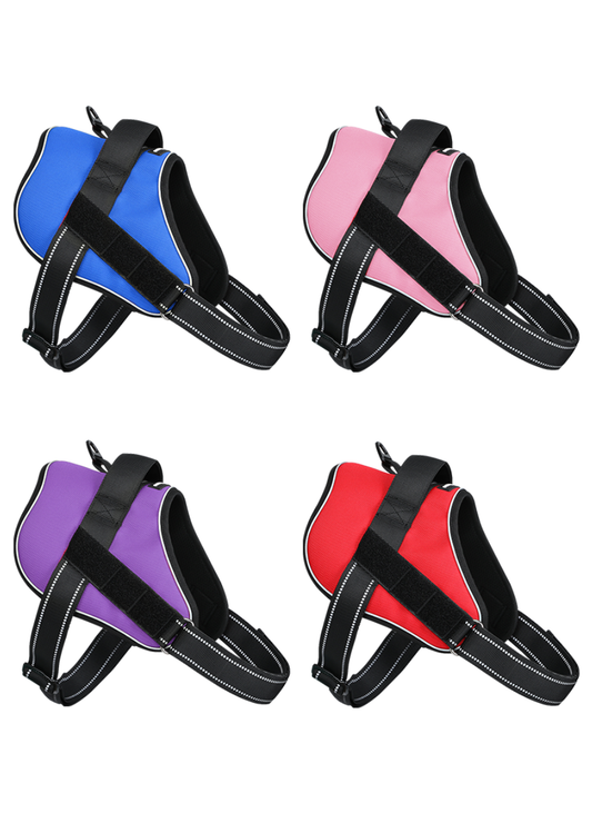 $3.8 Flash Sale: Easy Walk Dog Harness
