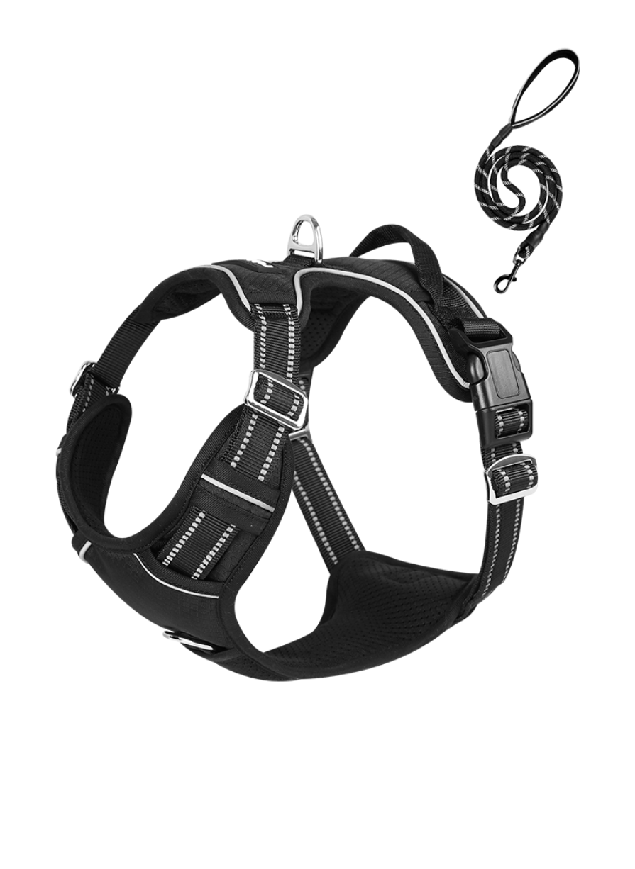 RG Box for Multi-Pet Households