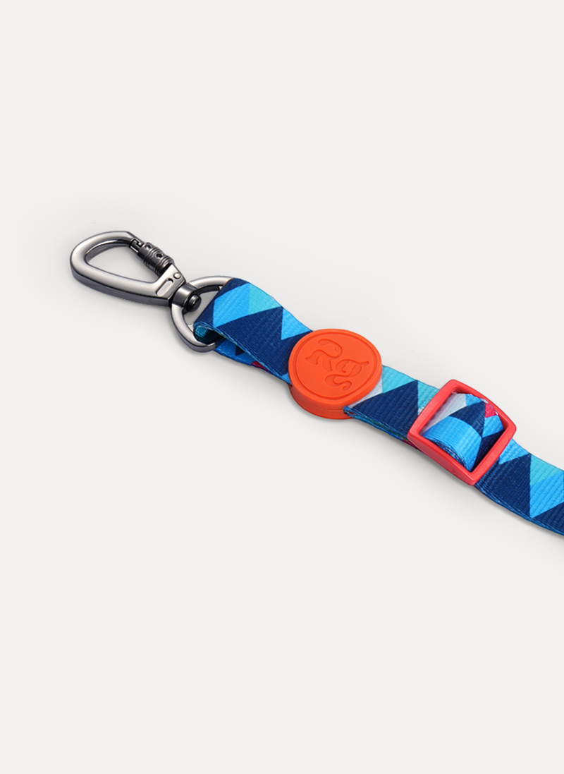 Freeline Y Series Blue Horizon Dog Leash - Blue