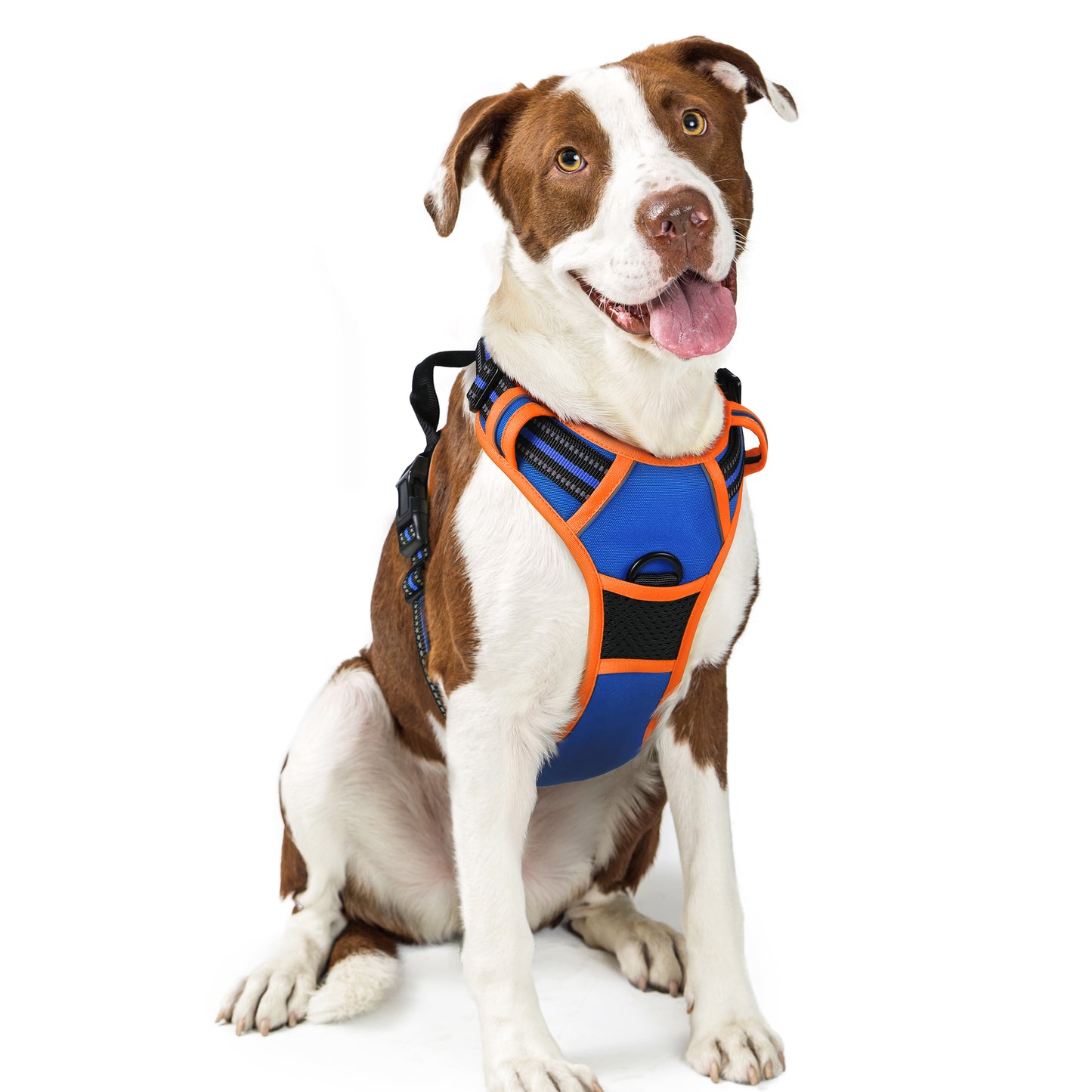 Rabbitgoo Multicolored No Pull Dog Harness - Orange & Blue
