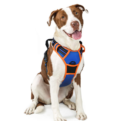 Rabbitgoo Multicolored No Pull Dog Harness - Orange & Blue