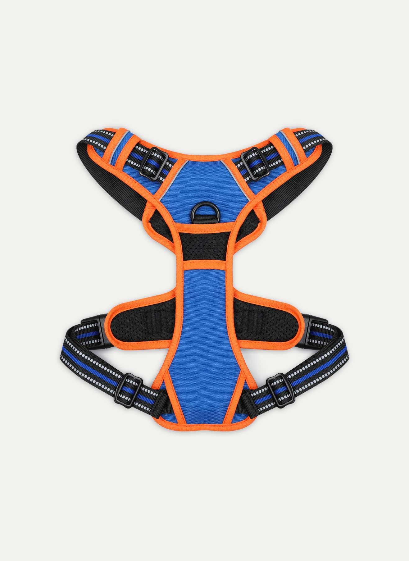 ColorPop Fit No Pull Dog Harness - Orange & Blue
