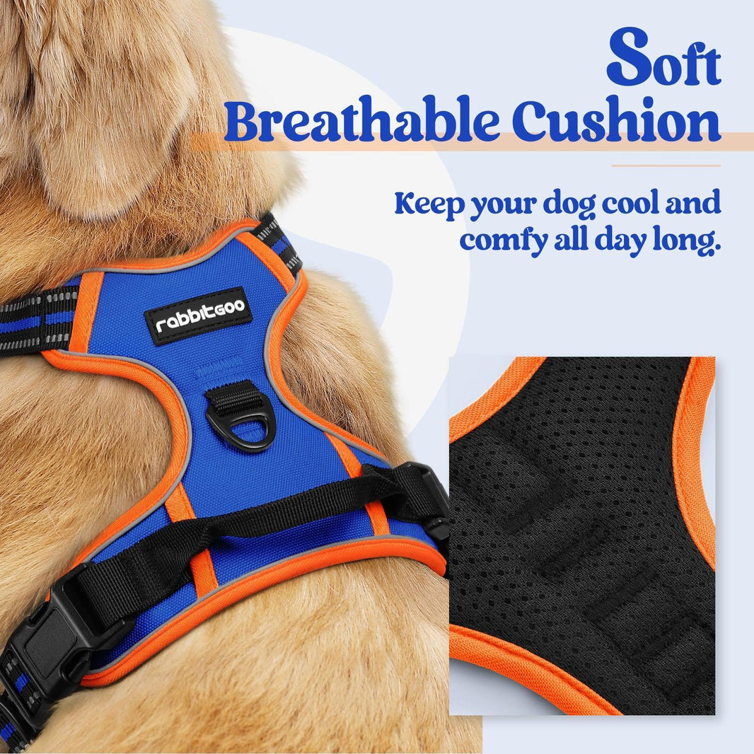 ColorPop Fit No Pull Dog Harness - Orange & Blue 