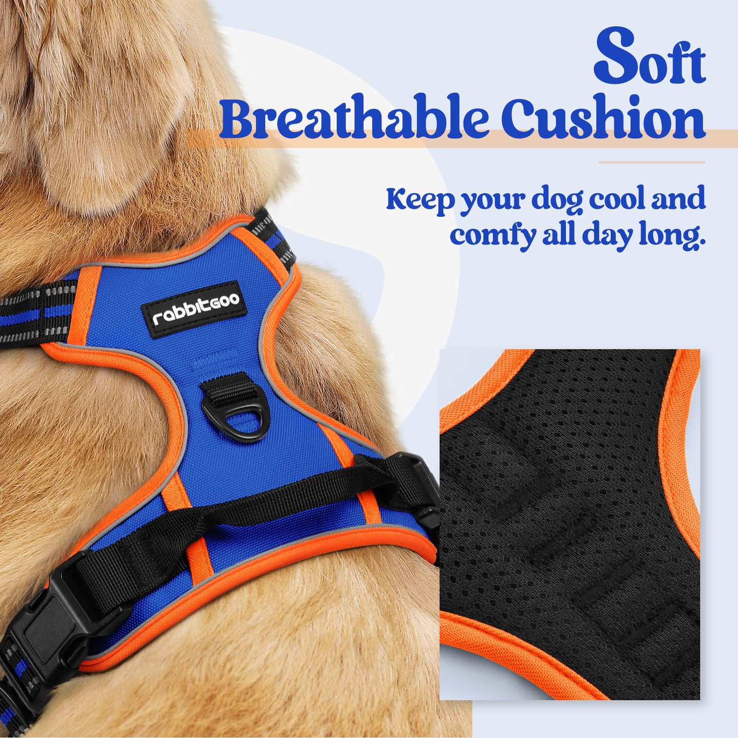 Rabbitgoo Multicolored No Pull Dog Harness - Orange & Blue