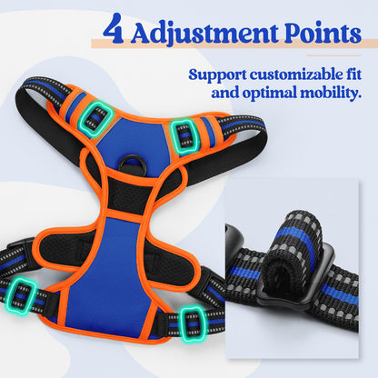Rabbitgoo Multicolored No Pull Dog Harness - Orange & Blue