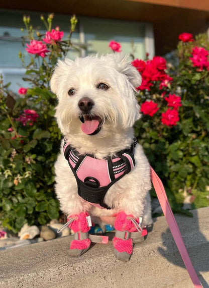 Rabbitgoo No Pull Dog Harness - Pink 