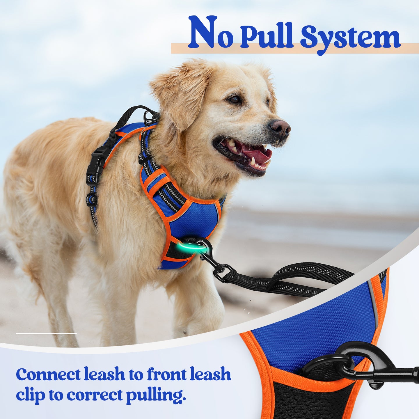 Rabbitgoo Multicolored No Pull Dog Harness - Orange & Blue
