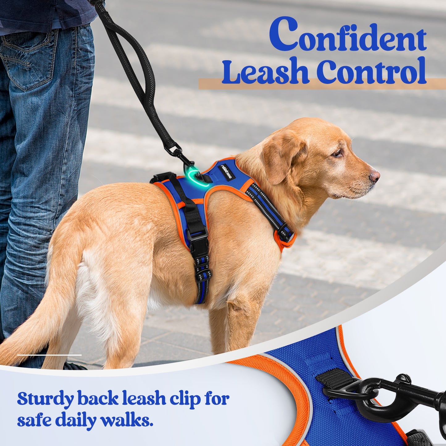 Rabbitgoo Multicolored No Pull Dog Harness - Orange & Blue