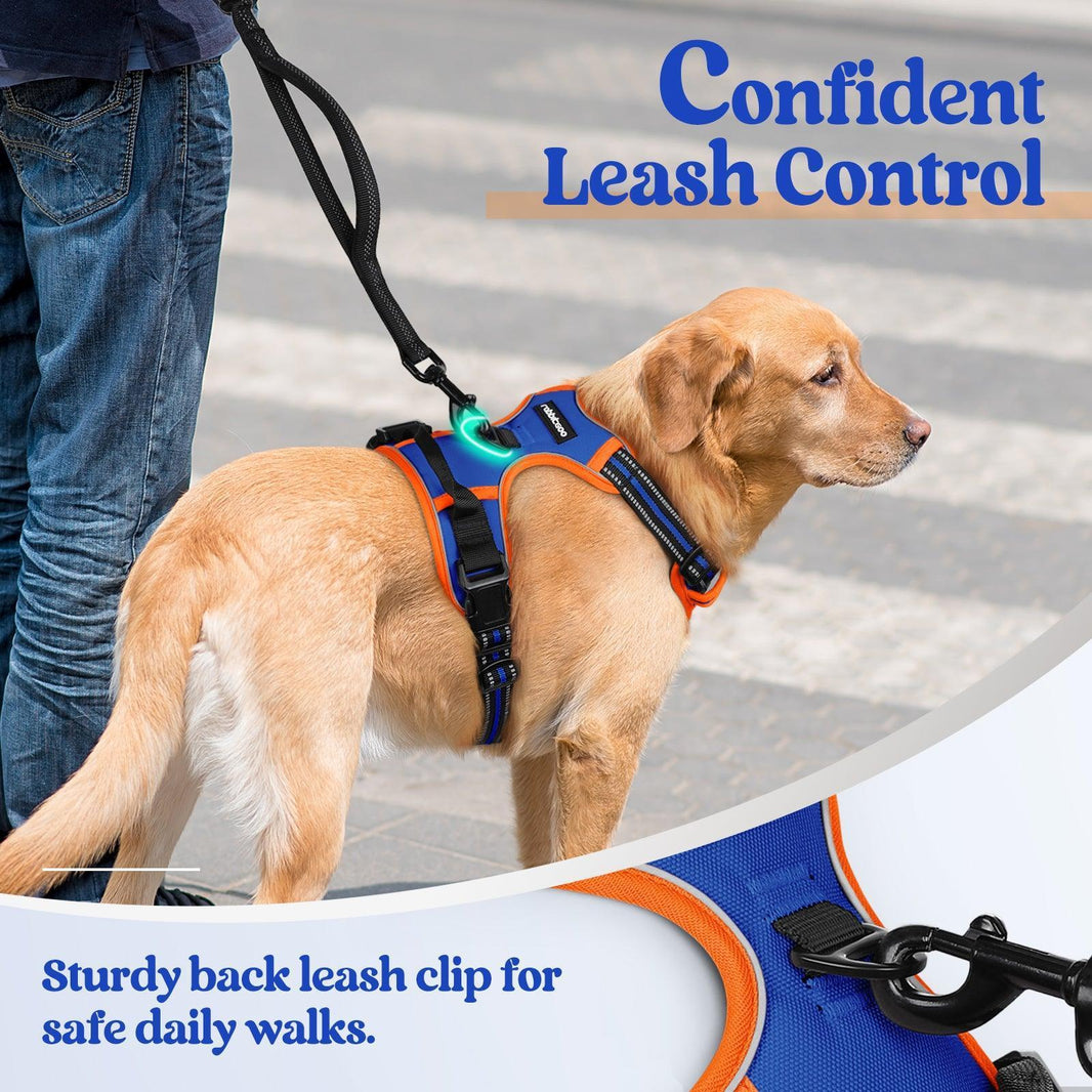 ColorPop Fit No Pull Dog Harness - Orange & Blue 