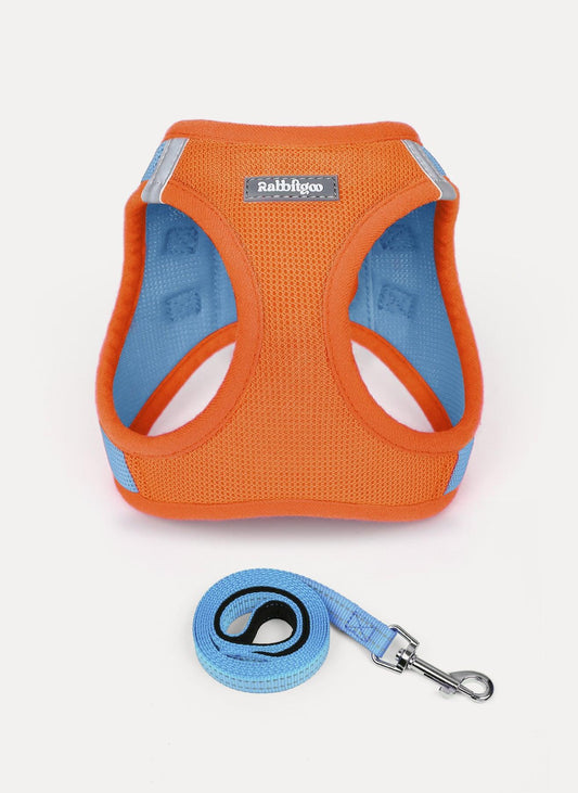 samll dog harness and leash set - Blue & Orange