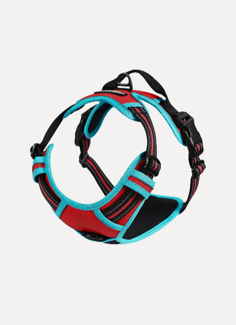 FLASH SALE: ColorPop Fit No Pull Dog Harness