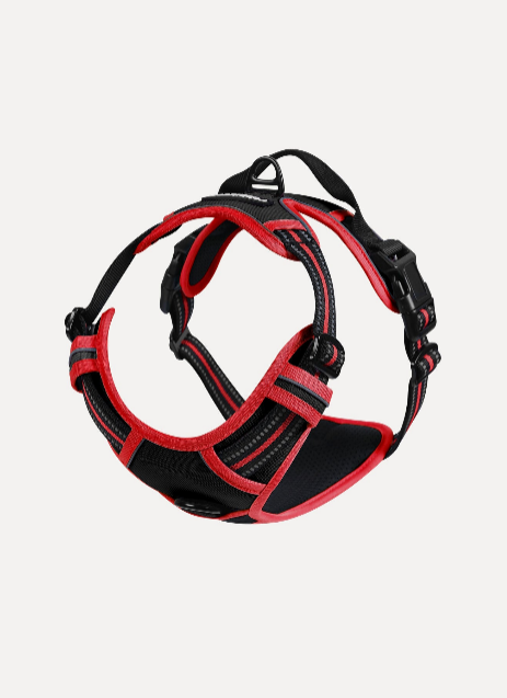 FLASH SALE: ColorPop Fit No Pull Dog Harness
